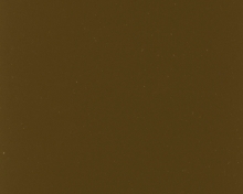 Grey Olive |  6006
