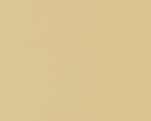Oyster White |  1013