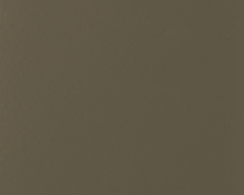 Iron Grey |  7011