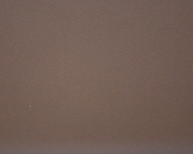 TEXTURED RUST | TN27-2D0