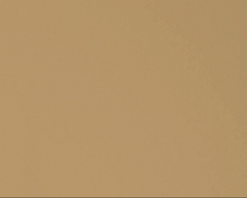 Beige | TT46-0D7