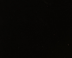 High Gloss Black | TK41-0D9-SD